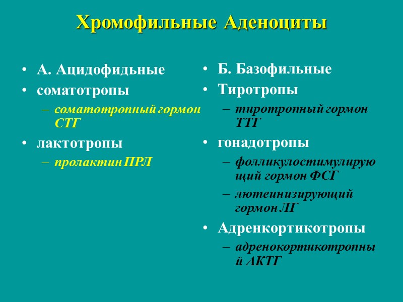 Хромофильные Аденоциты А. Ацидофидьные  соматотропы  соматотропный гормон СТГ  лактотропы  пролактин